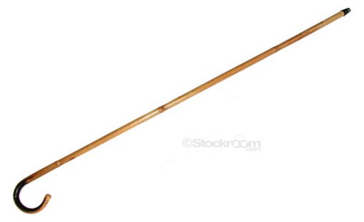 a bamboo cane for serous ass-beating